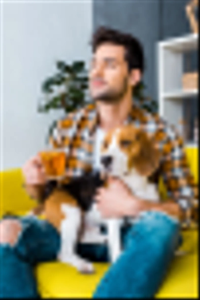 komea unenomainen mies, jolla on kuppi teetä ja istuu sohvalla beagle-koiran kanssa
  - Valokuva, kuva