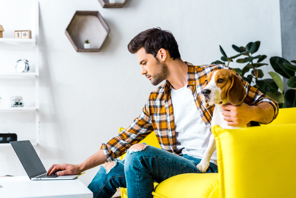 handsome man teleworking on laptop in living room with dog  - Photo, Image