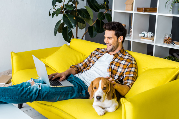 komea nauraa mies käyttää kannettavaa tietokonetta sohvalla beagle koira
 - Valokuva, kuva