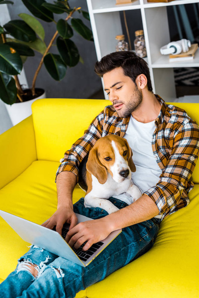 bel giovane uomo che utilizza il computer portatile su un divano giallo con cane
  - Foto, immagini