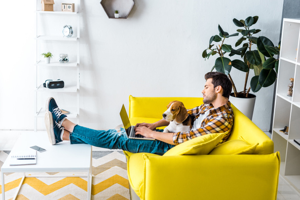schöner Mann mit Laptop auf gelbem Sofa mit Beagle-Hund im Wohnzimmer - Foto, Bild