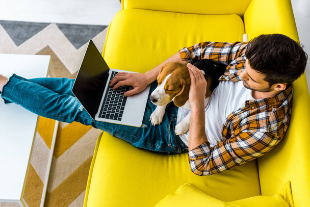 かわいい犬とソファの上のノート パソコンを使用している人のオーバー ヘッド ビュー - 写真・画像