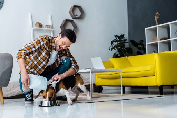 homem alegre alimentando cão beagle na sala de estar
 - Foto, Imagem