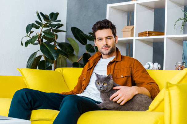 リビング ルームでソファの上に座ってブリティッシュショートヘアの猫とハンサムな笑みを浮かべて男 - 写真・画像