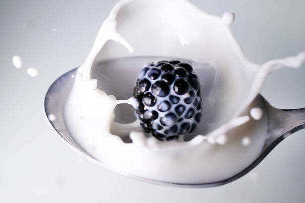 Close up of a blackberry falling down in a spoon full of milk. Concept: Breakfast, diet, summer - 写真・画像