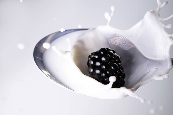 Close up of a blackberry falling down in a spoon full of milk. Concept: Breakfast, diet, summer - Zdjęcie, obraz