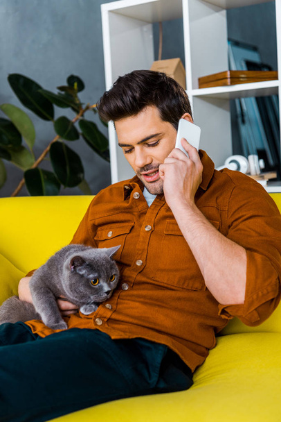 knappe man praten over smartphone terwijl zittend op de Bank en kijken kat - Foto, afbeelding