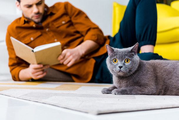 selective focus of man reading book and lying on floor with british shorthair cat  - Fotografie, Obrázek