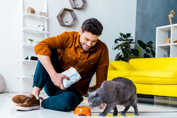 happy young man feeding grey british shorthair cat at home - Foto, immagini