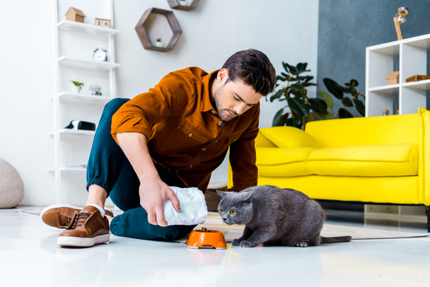 young man feeding grey british shorthair cat in living room - Foto, immagini
