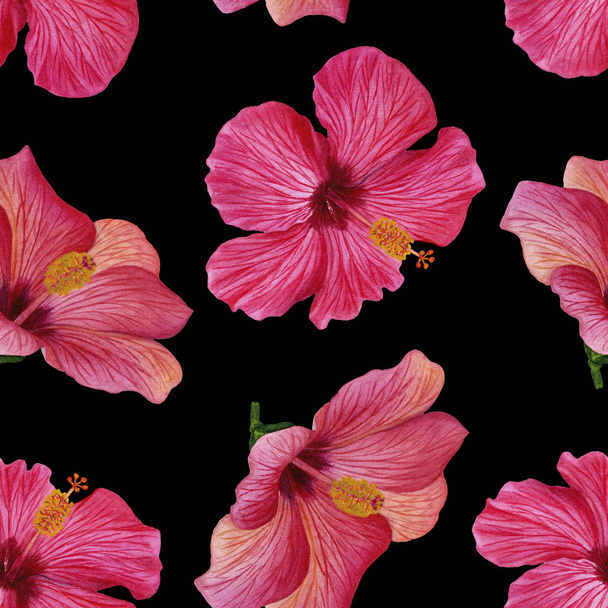 Saumaton kukka kuvio hibiscus kukkia. Kukka kuvio kangasta tai tapetti. Vesivärikuvitus käsin maalattu. Täydellinen kangas, käärepaperi, tausta
. - Valokuva, kuva