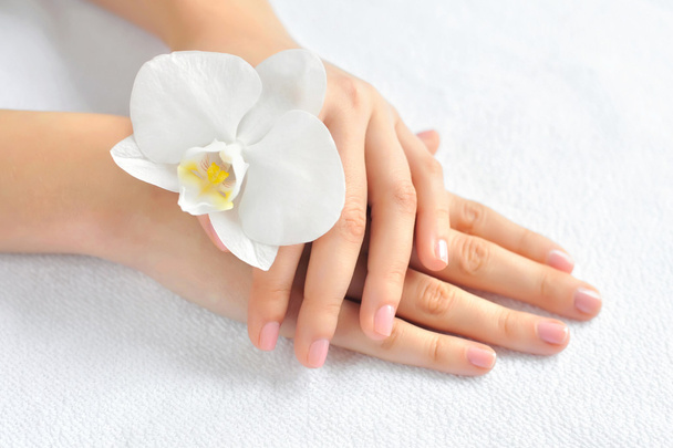 Hermosas manos de mujer con flor de orquídea blanca
 - Foto, Imagen