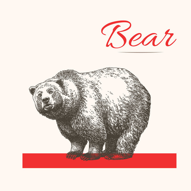 orso grizzly con illustrazione vettoriale linea rossa - Vettoriali, immagini
