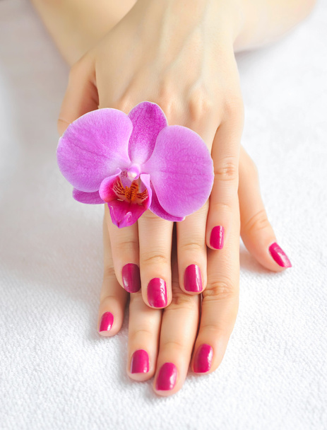 Beautiful hands with manicure and purple orchid flower - Фото, изображение
