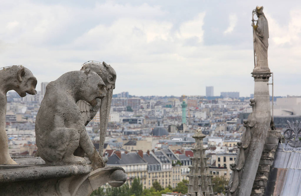 Statue auf dem Dach der Kathedrale Notre Dame in Paris, während man die Stadt von der Spitze der Kirche aus beobachtet - Foto, Bild