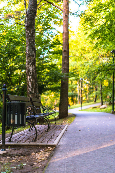 Ζωηρόχρωμη φωτογραφία του πάρκου σε μια ημέρα ηλιόλουστη φθινόπωρο - μεταλλικό πάγκο στην αριστερή πλευρά - Φωτογραφία, εικόνα