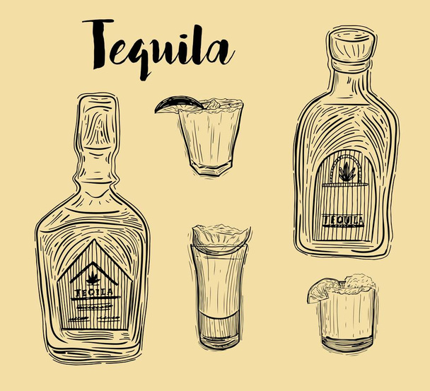 Tequila shot with lime. Hand drawn illustration converted to vector - Vector, Image