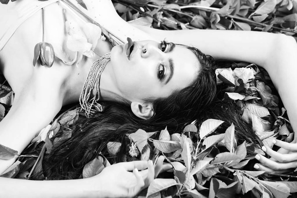 beauty, woman with makeup with flowers on green leaves - 写真・画像