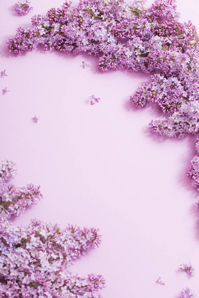beautiful lilak on paper background - Foto, Imagem