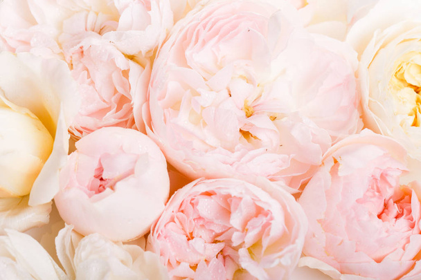 Ongefocuste wazige rozenblaadjes, abstracte romantiek achtergrond, pastel en zachte bloem kaart - Foto, afbeelding