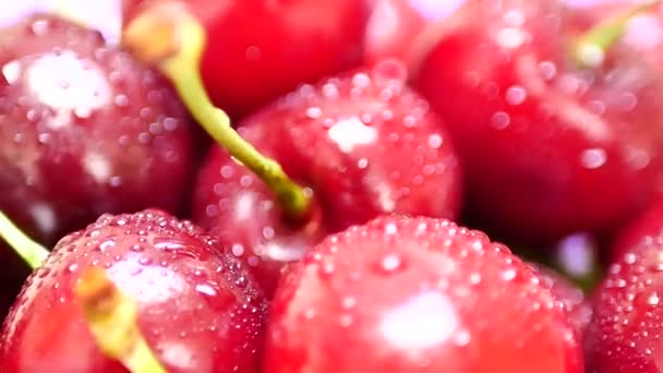 Grupo de cereza roja oscura jugosa madura con gotas de agua
 - Imágenes, Vídeo