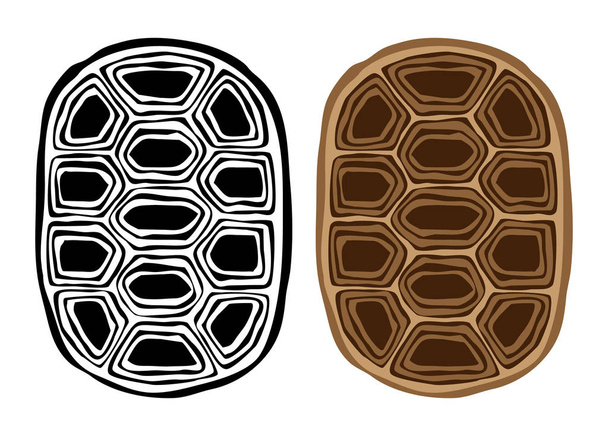 Teknős shell vagy páncél teknős textúra - Vektor, kép