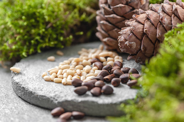 Pine cones, nuts and natural moss on a gray concrete background. Background image. - Фото, изображение