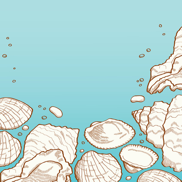 Seashell background - Vector, Image