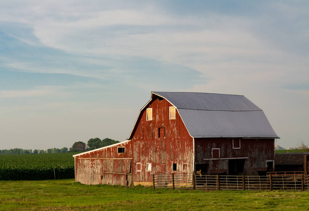 午後の光に中西部の納屋。ラサール郡、イリノイ州、アメリカ合衆国 - 写真・画像
