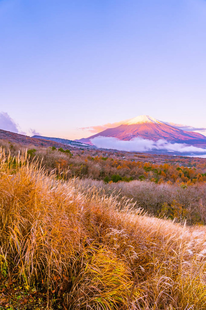 Beautiful landscape of fuji mountain in yamanakako or yamanaka lake in autumn season Japan - Zdjęcie, obraz