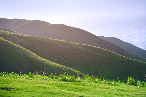 Zöld dombok táj Angliában, Egyesült Királyság - Fotó, kép