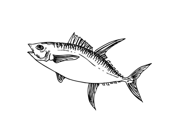 handgezeichnete Lebensmittelzutaten - Meeresfrüchte-Menü-Illustrationen - Vektor - Vektor, Bild