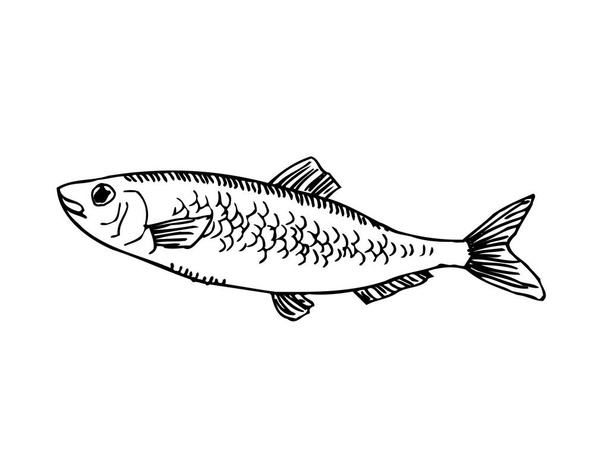 手描き下ろし食品成分 - 海食品メニュー イラスト - ベクトル - ベクター画像
