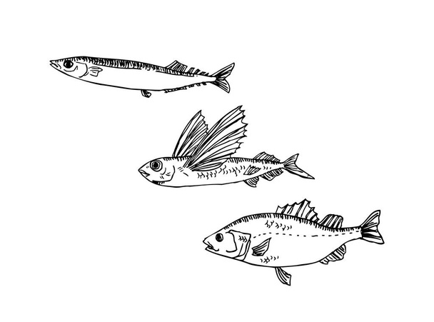 Рука намальовані харчові інгредієнти - ілюстрації меню морепродуктів - вектор
 - Вектор, зображення