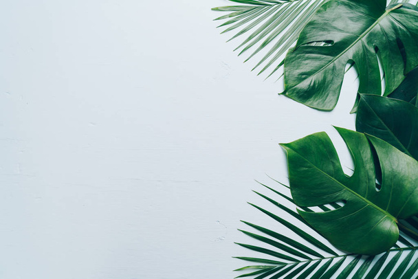 Tropical palm leaves on color background with copy space - Foto, imagen