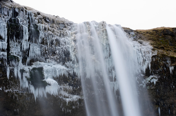 Seljalandsfoss waterfall - Foto, Bild