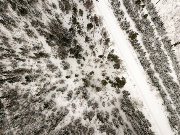 χιονισμένα δένδρα στο δάσος φαίνεται από τα ανωτέρω - Φωτογραφία, εικόνα
