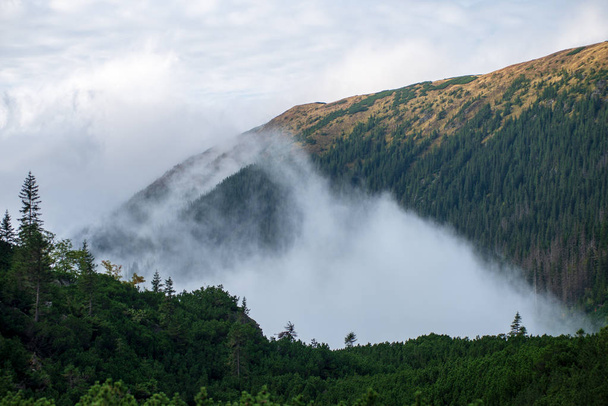nevelige wolk over klimmen bergdal in Slowakije - Foto, afbeelding
