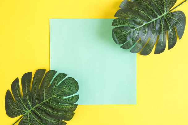 Tropical leaves background minimal creative summer concept. Space for copy. - Valokuva, kuva