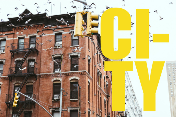 escena urbana con aves volando sobre edificios en la ciudad de Nueva York con letras amarillas de "ciudad", EE.UU.
 - Foto, Imagen