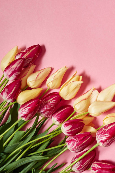Yellow and pink tulips on pastel paper background, copy space. Spring minimal concept. Womens Day, Mothers Day, Valentine's Day, Easter, birthday. Nature background. Flat lay, top view - Fotó, kép
