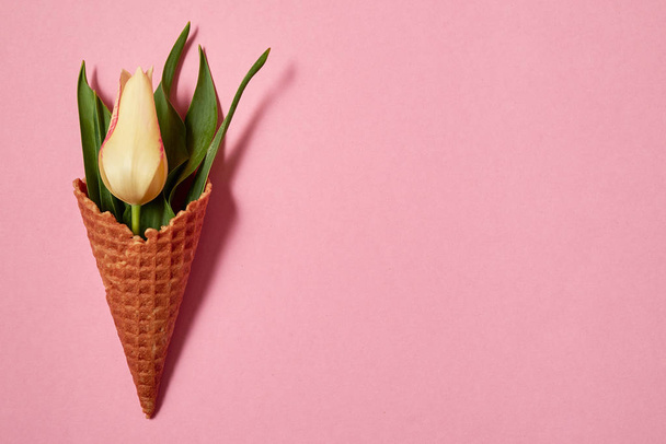 Yellow tulip and leaves in ice cream cone on pink background, copy space. Sping minimal concept. Womens Day, Mothers Day, Valentine's Day, Easter, birthday. Nature background. Flat lay, top view - Foto, immagini