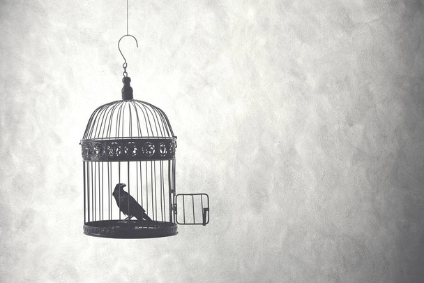 vapauden käsite, lintu avoimessa häkissä
  - Valokuva, kuva