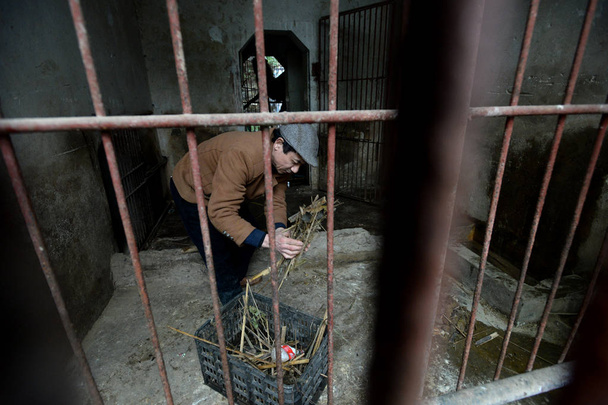 Chinese zoo owner and keeper Tan Decai cleans a cage at the one-man zoo in Fuling district, Chongqing, China, 15 February 2017 - Photo, image