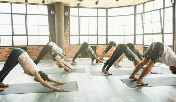 Gente yogui haciendo ejercicio en el estudio del club deportivo, concepto de bienestar
 - Foto, imagen