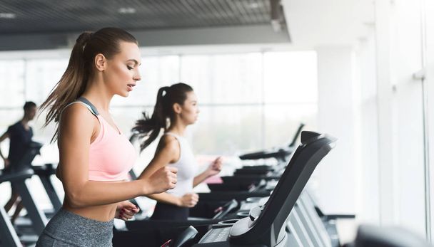 Fit women doing cardio training on treadmill - Photo, Image
