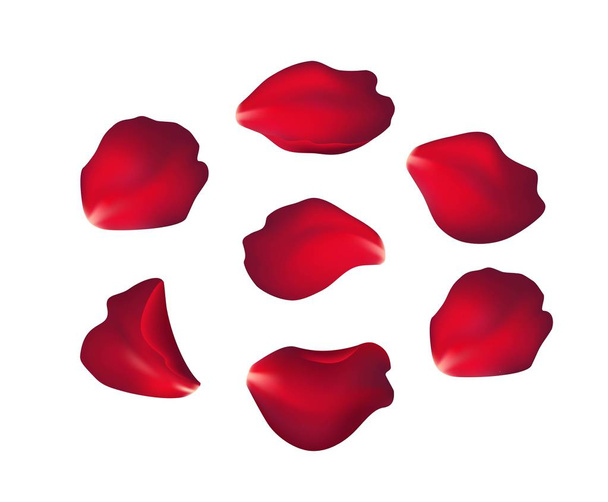 Falling red rose petals isolated on white background. Vector illustration - Vector, Image