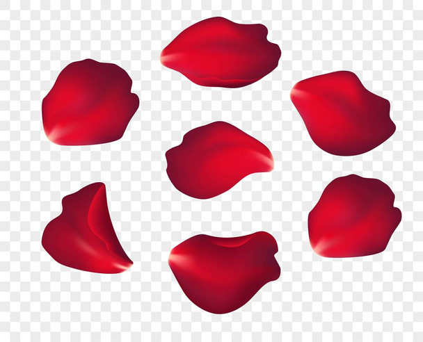 Falling red rose petals isolated on white background. Vector illustration EPS10 - Vector, Image