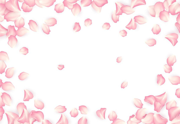 Falling red rose petals isolated on white background. Vector illustration - Vector, Image