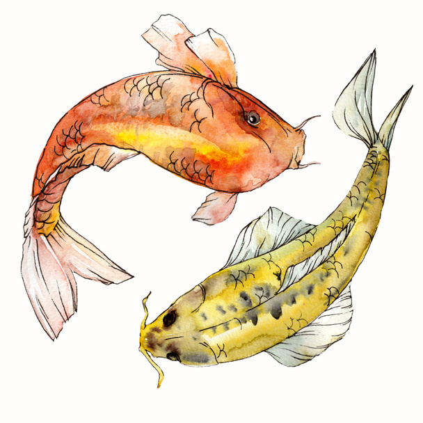 Watercolor aquatic underwater colorful tropical fish set. Red sea and exotic fishes inside: Goldfish. Aquarelle elements for background, texture. Isolated goldenfish illustration element. - Foto, afbeelding